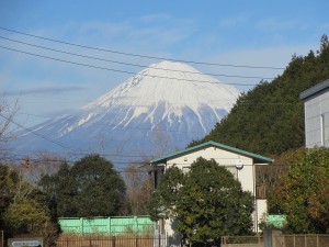 暖かい静岡