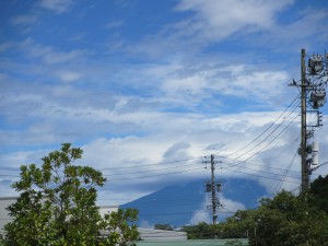 久々の晴天になりました。