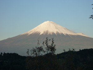 冬到来（・・でしょうか？）