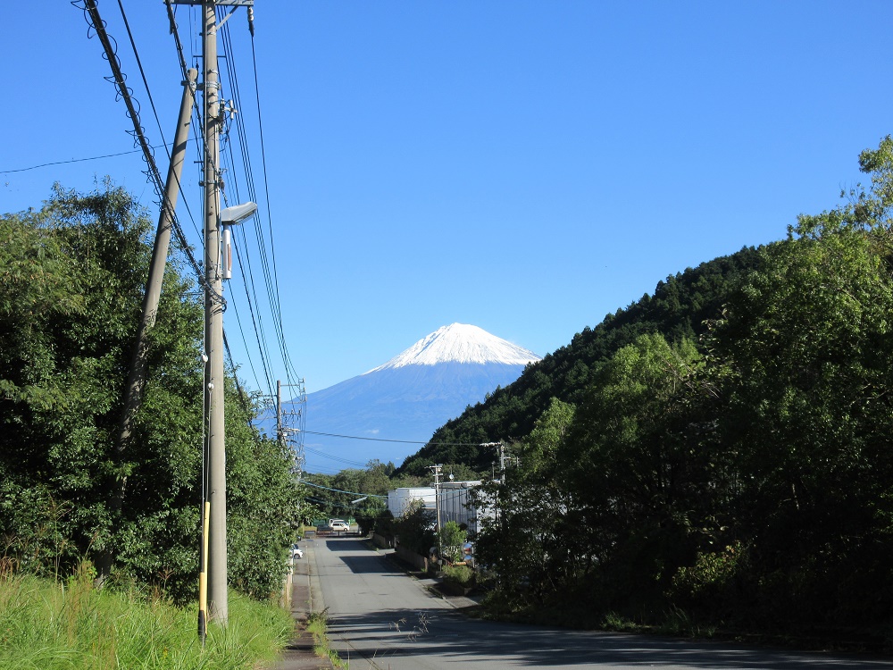 本日の富士山と国際物流総合展